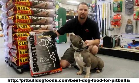 Best dog food for pitbulls at petsmart. Best Dog Food For Pitbulls by manyasurve41 on DeviantArt