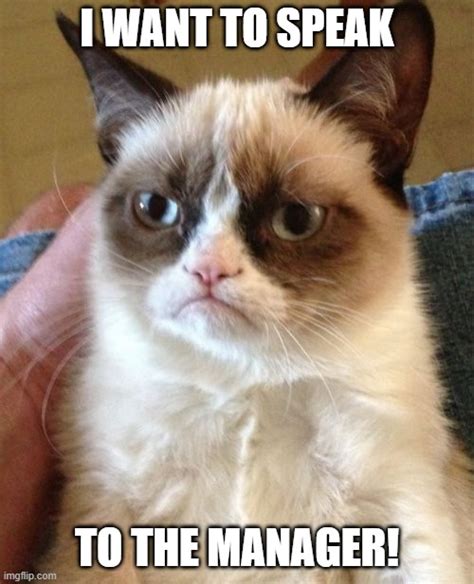 Grumpy Cat Memes Imgflip