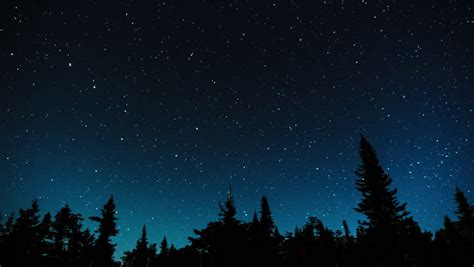 Trees And Night Sky Full Of Stars Image Free Stock Photo Public