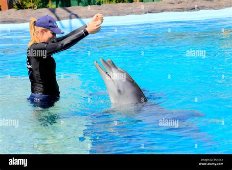 Dolphin Marine Magic Coffs Harbour Hi Res Stock Photography And Images