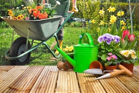 Equipos Para Jardinería Que Debes Tener En Tu Hogar Decor Tips