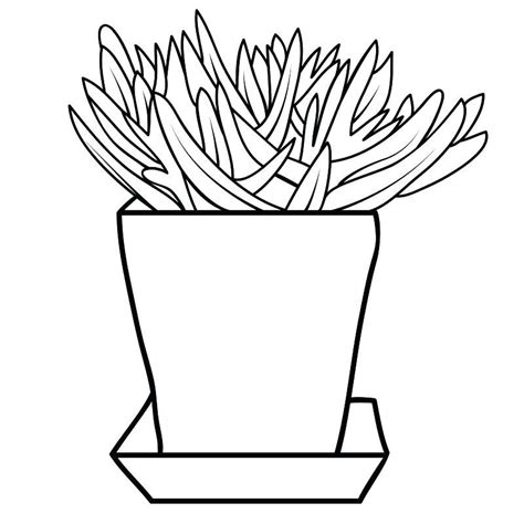 Pagina Para Colorear De Maceta Para Cactus En Para Dibujos Para