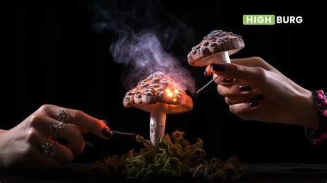 Can You Smoke Magic Mushrooms Highburg