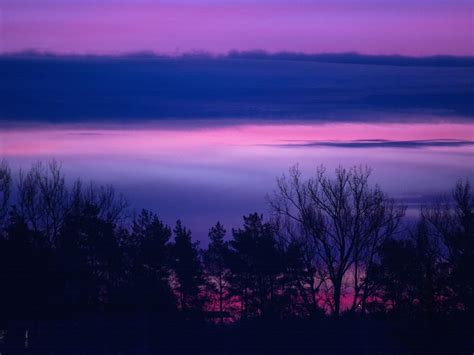 1920x1440 Clouds Forest Landscape Lilac Purple Serene Sunrise Sunset
