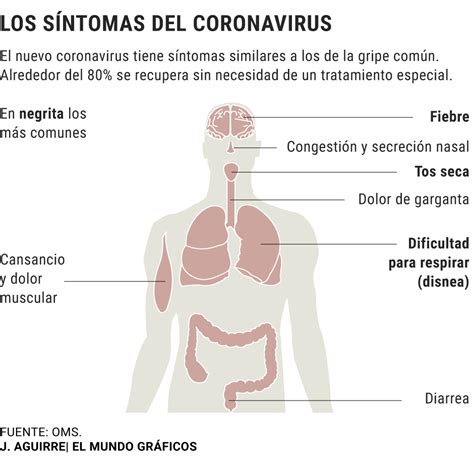 Coronavirus Síntomas Tratamiento Y Cómo Evitar El Contagio Del Covid