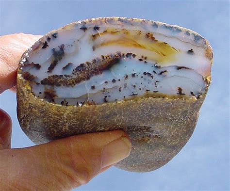 Montana Blue Moss Agate Yellowstone River Minerals And Gemstones