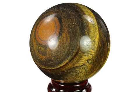 2 9 Polished Tiger S Eye Sphere 143265 For Sale FossilEra Com