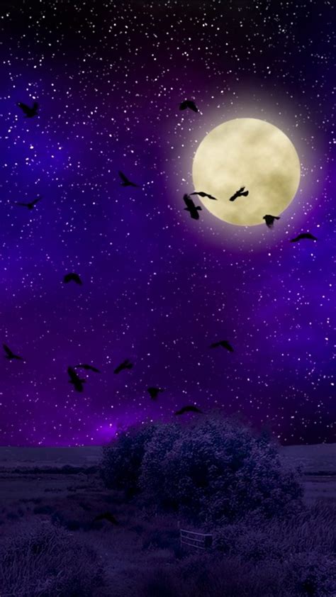 Full Moon Starry Sky Birds Night Photoshop Wallpaper