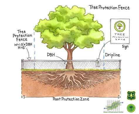Scfc Protecting Trees