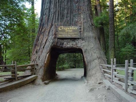Nature & parks in california. Top 10 most beautiful places in California - We Find You Go