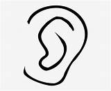 Clipart Ear Ears Webstockreview sketch template