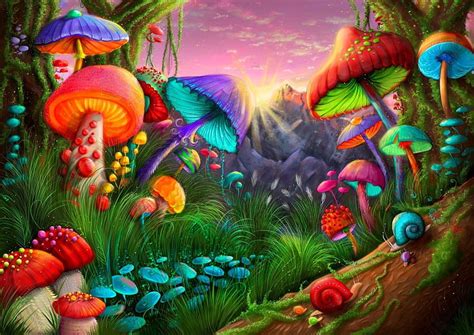 Discover Fantasy Mushroom Wallpaper Latest In Cdgdbentre
