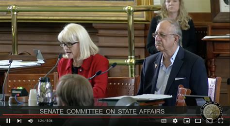 Watch Harris County Gop Chair Cindy Siegel Testifies To Texas Senate