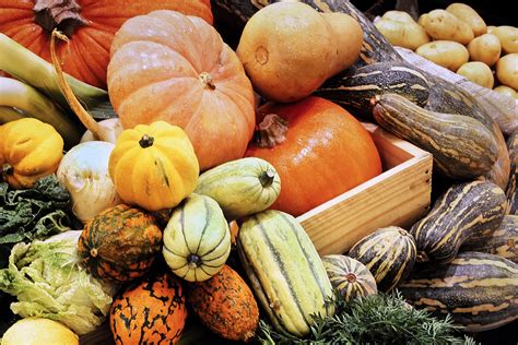 7 Tips For Storing Squash No Matter What Type Food Gardening Network