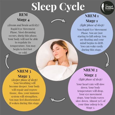 What Is A Sleep Cycle The Natural Bedding Company