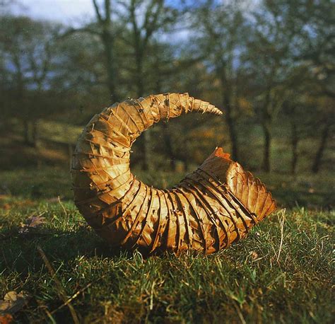 20 Most Beautiful Andy Goldsworthy Art And Images Live