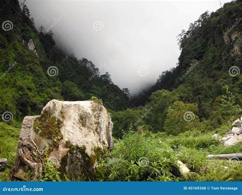 Misty Rainforest In The Lower Annapurna Himalayas Stock Photo Image