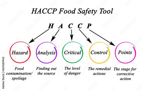 Components Of Haccpfood Safety Tool Stock Illustration Adobe Stock
