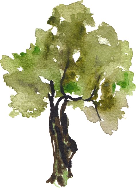 Tree Painting Clip Art Watercolor Trees Png X Png Download