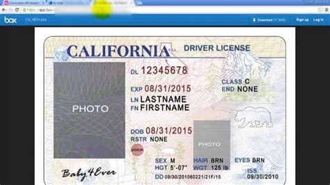 The Outstanding 28 Drivers License Template Free Robertbathurst