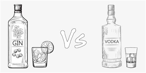 Gin Vs Vodka Whats The Difference Wine And Liquor Prices