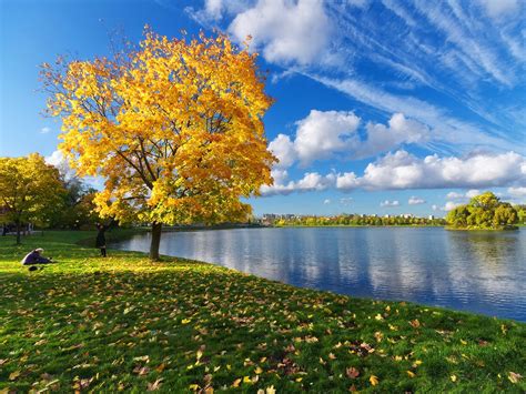 Autumn Autumn Tree Calm Water Nature Lakes Hd Desktop