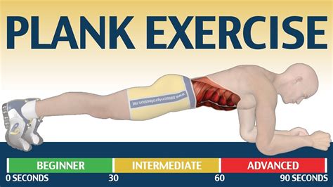How To Plank Exercise The Ultimate Fitness Guide Youtube