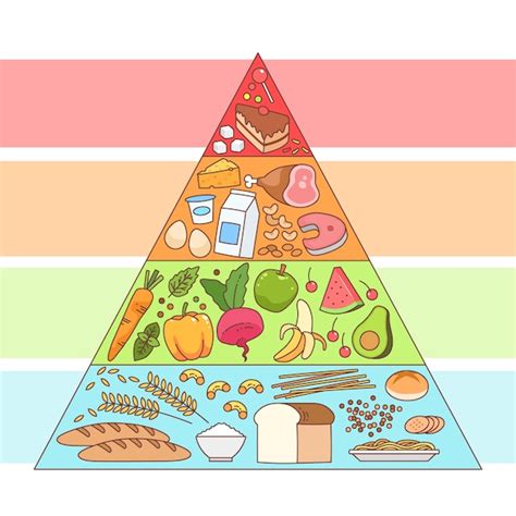 Free Vector Nutrition Concept Food Pyramid The Best Porn Website