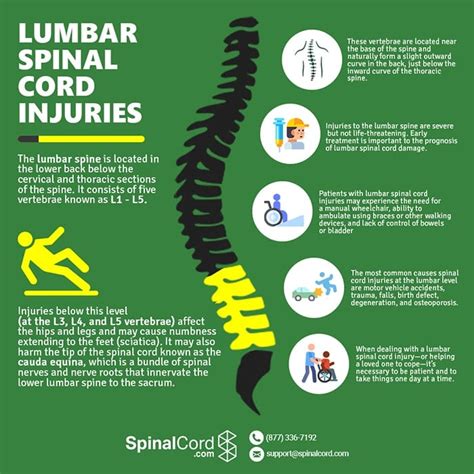 Lumbar Spine Injury L1 L5 Spinal Cord