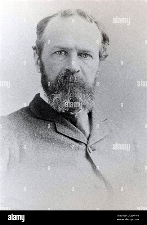 William James 1842 1910 American Psychologist And Philosopher Stock