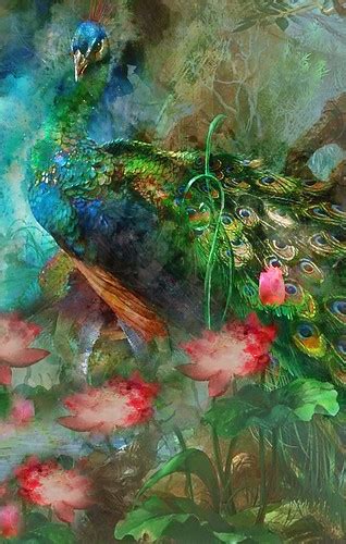 Peacocks Art Work Watercolour Peacock With Water Lilies Mc Baily