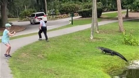 Watch Alligator Chases Fisherman In Front Of Stunned Crowd Youtube