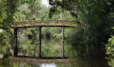 Hillsborough River State Park Is The Most Beautiful Campground In All