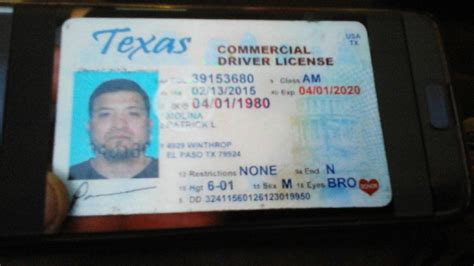 What Is Commercial Drivers License Anceinsru