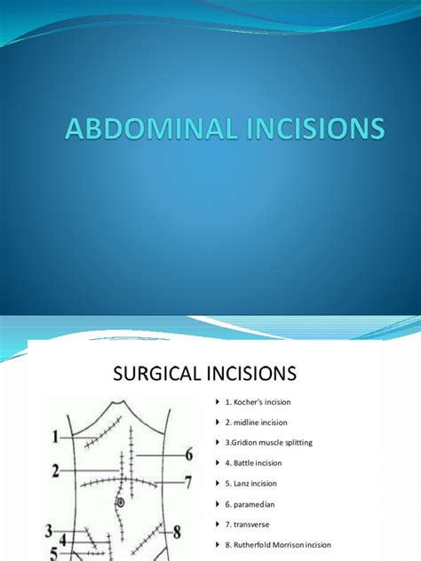 Abdominal Incisions Pdf Abdomen Anatomy