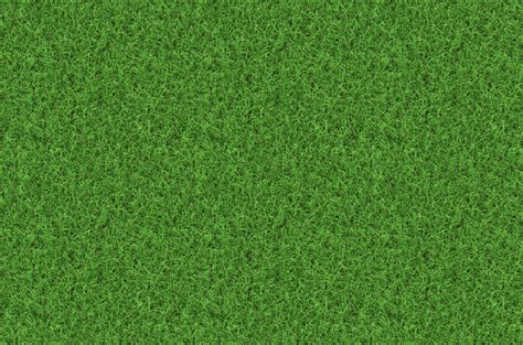 Beach Grass Texture 4k