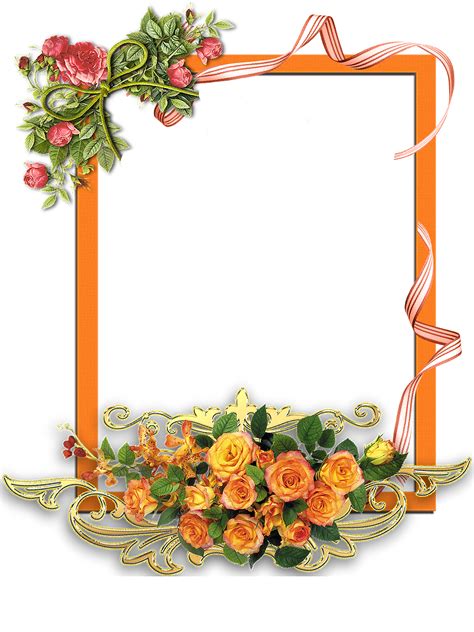 Floral Frame Png Transparent Image Download Size 1200x1600px