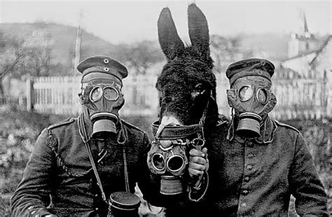 Alcune sono caratterizzate da un ferretto flessibile che serve per migliorare l' aderenza alla sella nasale. Piccole Note -Ungaretti: i virus e l'uomo con la mascherina - piccole note