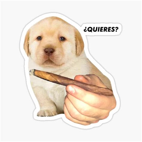 Doggy With A Blunt Sticker By Martindenta Redbubble
