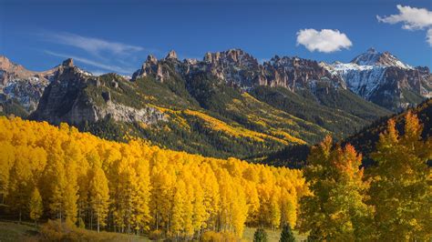 Fall Color Aspens In The Rocky Mountains Colorado Usa Windows 10