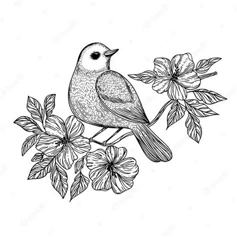 Premium Vector Nightingale Songbird Sits On A Branch With Blooming