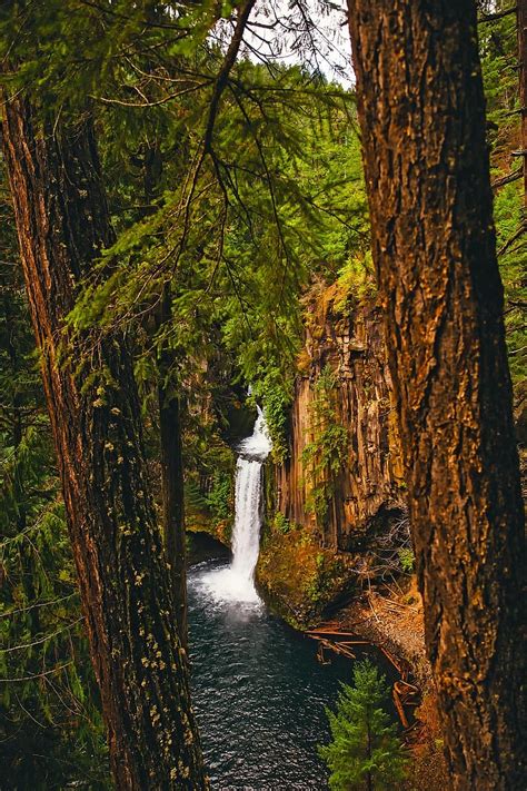 Oregon Mountains Waterfall Falls River Stream Water Forest