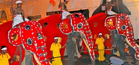 Sri Lanka Festivals Geringer Global Travel