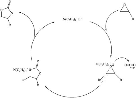Scheme 7 Typical Mechanism Of Cyclic Carbonate Formation Using