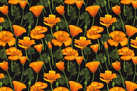 California Poppies 2 Wallpaper Happywall