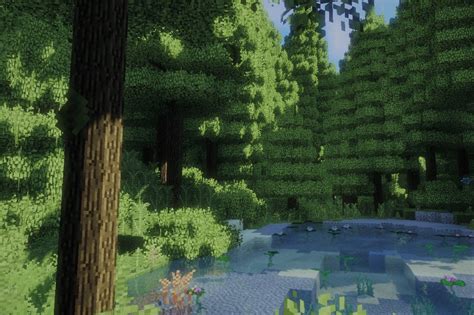 Minecraft Forest
