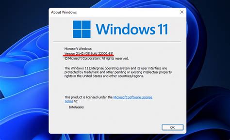 Windows 11 Update Weryeye