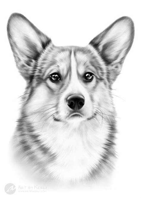 Pin By Janet Lee On Dogs Corgi Art Corgi Drawing Cute Dog Drawing
