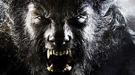 Wolfman in Blu-ray: un uomo lupo in alta definizione