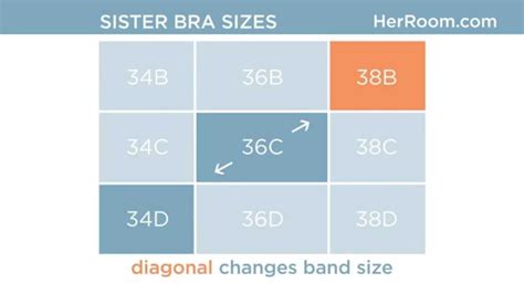 The Band Size Of Your Bra Explained Bra Size Calculator